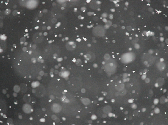 Out of focus close-up of snowflakes