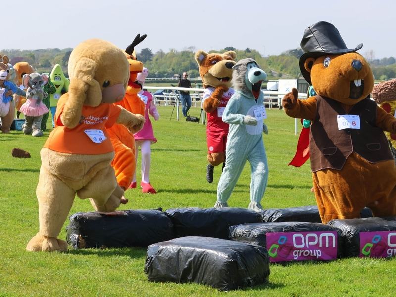 Colourful mascots race across an obstacle course during the Sue Ryder Mascot Gold Cup.