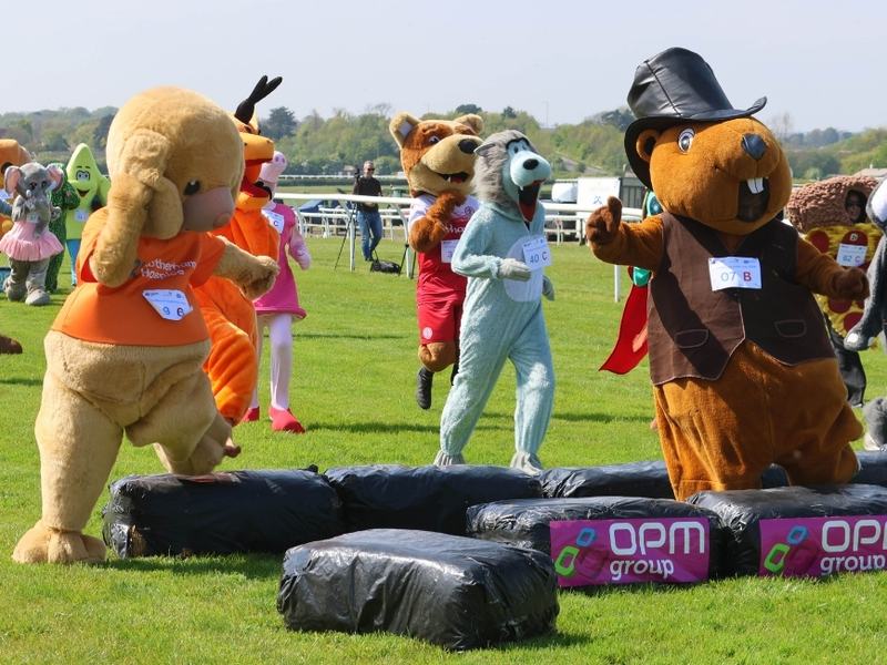 Colourful mascots race across an obstacle course during the Sue Ryder Mascot Gold Cup.