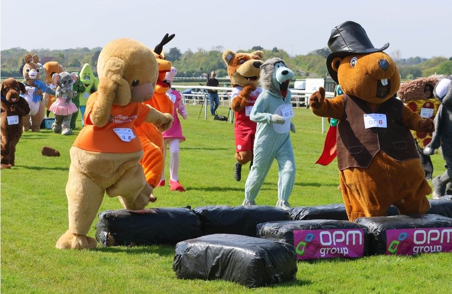 Colourful mascots race across an obstacle course during the Sue Ryder Mascot Gold Cup.