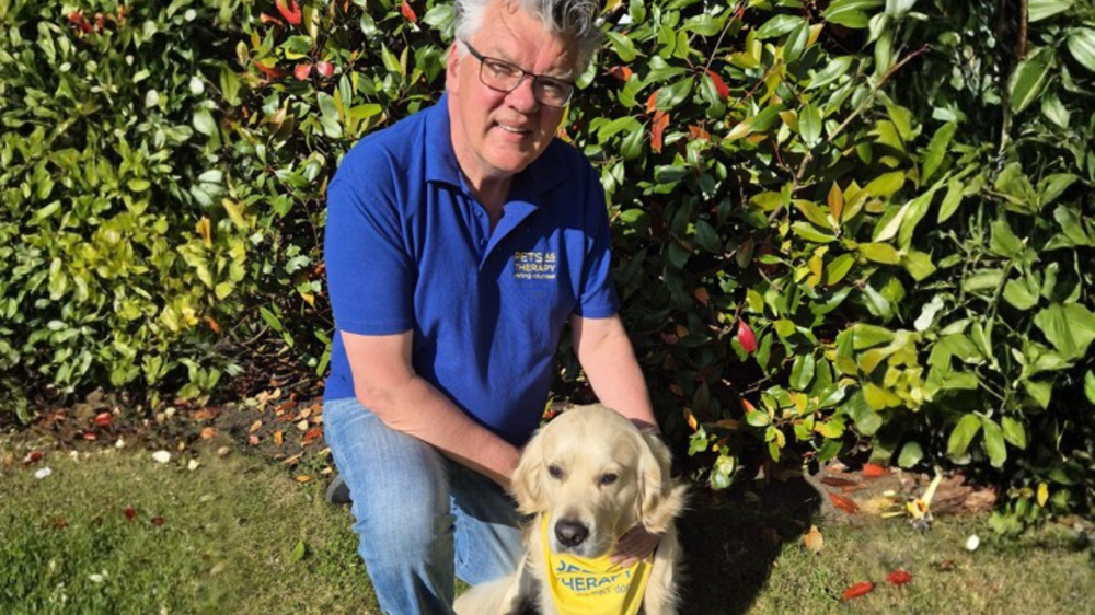 A man with short grey hair crouches down next to a golden retriever dog. They are both outside on a grassed area and there is foliage behind them.