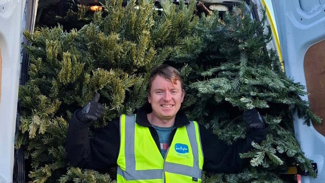 A Sue Ryder Treecycling volunteer, with lots of Christmas trees behind him in the van