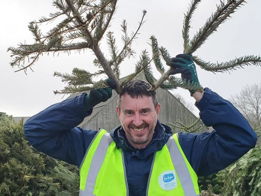 A Sue Ryder Treecycling volunteer holding tree branches up like reindeer antlers