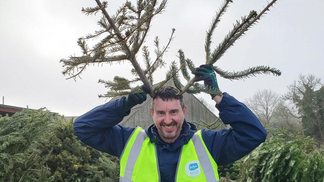 A Sue Ryder Treecycling volunteer holding tree branches up like reindeer antlers