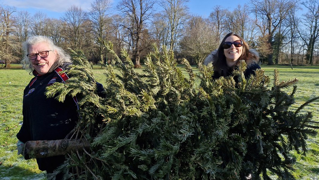 Two Sue Ryder Treecycling volunteers carrying a Christmas tree together
