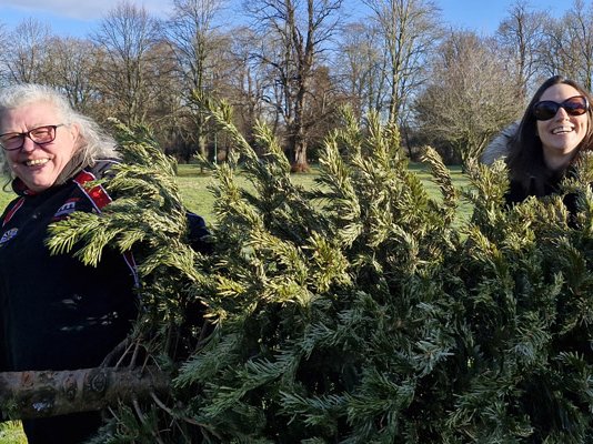 Two Sue Ryder Treecycling volunteers carrying a Christmas tree together